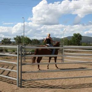 Sheep Agriculture Galvanized Livestock Fencing 40x40mm Rail