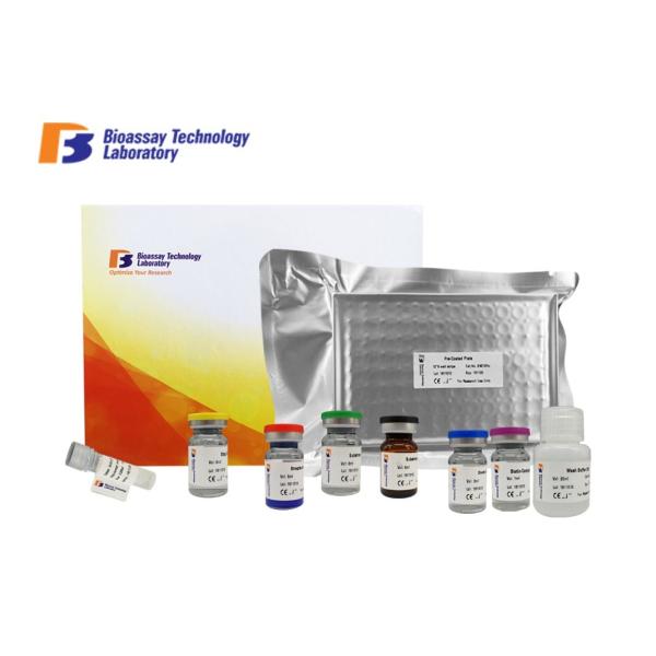 Strong Sensitivity Bovine Prolactin Sandwich Immunoassay Kit With Strong
