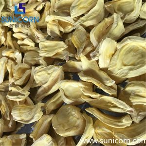 Energy Saving Industrial Food Lyophilizer 100sqm 1000kg Input Capacity