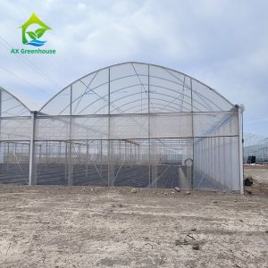 Multiple Span Plastic Greenhouse With Whole Systems