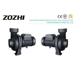 Gardening Irrigation Centrifugal Water Pump With Free Gifts Face Masks