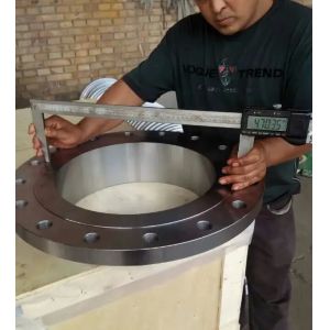 ASME B16.5 Inconel 600 Plate Flange 10 inch Slip On Flange Raised Face UNS