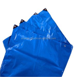 Other Fabric PE Tarpaulin Rainproof Protection Against Solar Radiation Dustproof