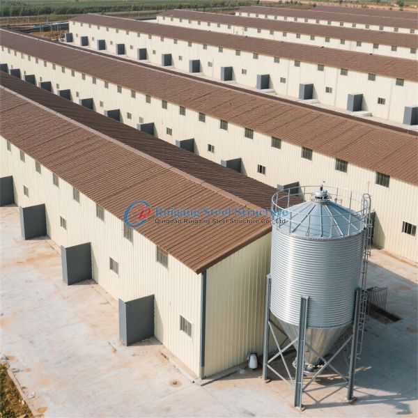 Prefabricated/ Prefab Light Steel Frame Construction Structure Chicken Poultry