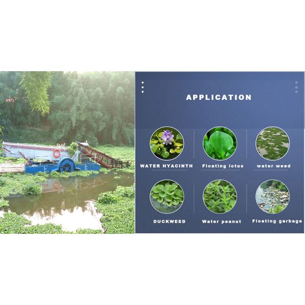 Customized Multifunctional Aquatic Weed Harvester with Paddle Wheel Driven Type for River and Canal Cleaning