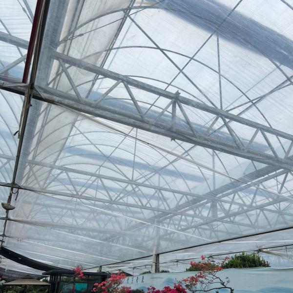 Multi-Span Tunnel Po Film Greenhouse