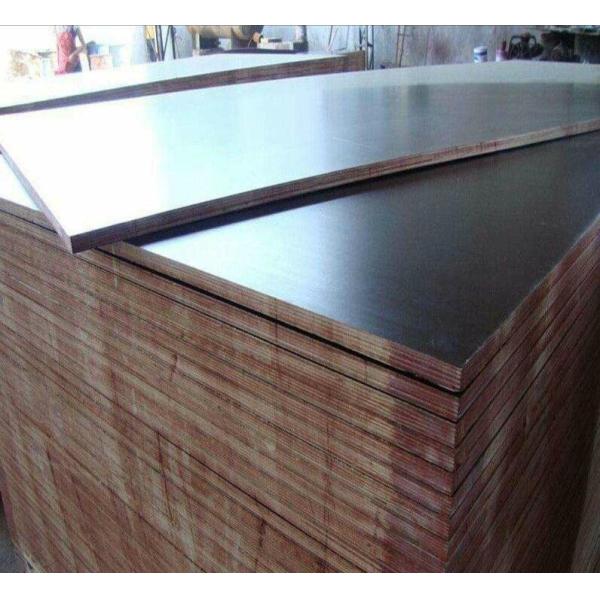 Buy Concrete Formwork Film Faced Marine Plywood , WBP Glue Film Coated Plywood Panel at wholesale prices
