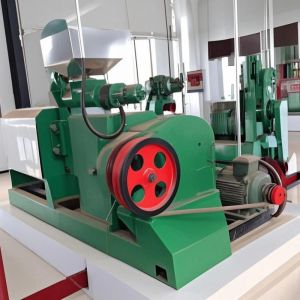 New Type Seed Oil Extraction Machine Oil Expeller for Seeds Big Capacity Cold