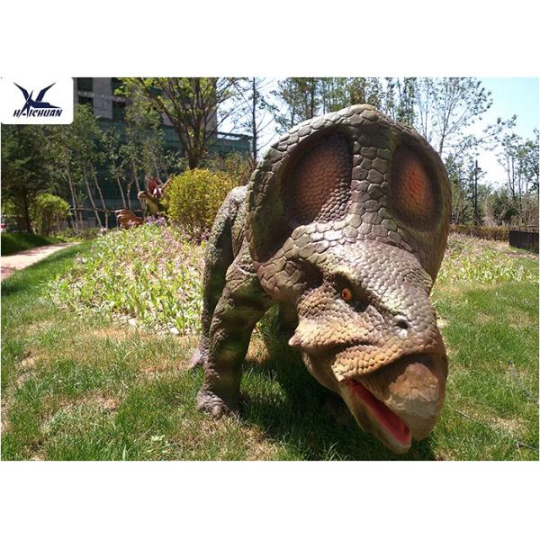 Buy Animatronic Lifesize Outdoor Dinosaur Models For Musuem And Supermarket at wholesale prices