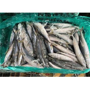 High Protein 120g Scomber Japonicus Fresh Frozen Mackerel