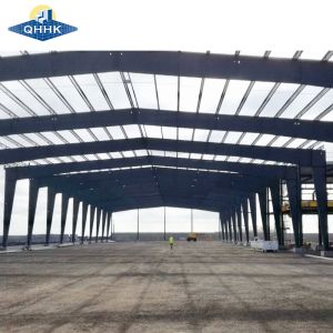 Quality Efficient Galvanized Steel Structure Buildings Sustainable Construction for sale