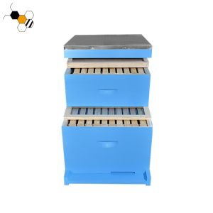 Wood Blue Color 4 Layers Langstroth Bee Hive Pine Wood