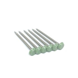 65mm Length Polished Plastic Headed Nails With Shark Point