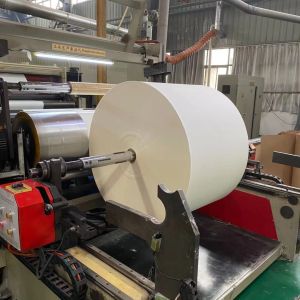 330 Gram Waterproof Coated Paper Flexo Double PE Coated Paper