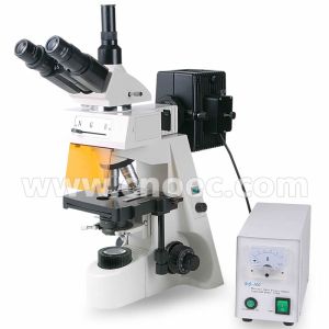 Quality Fluorescent Microscope Trinocular Head 40 - 1000X with CE A16.1103 for sale