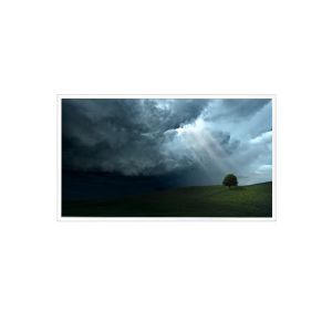 Quality 21.5 inch 1920*1080 QV215FHB-N10 16.7M 75%NTSC LCD Screen for Industrial for sale