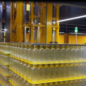 Quality Fully Automatic High Speed Empty Glass Bottle Depalletizer for sale