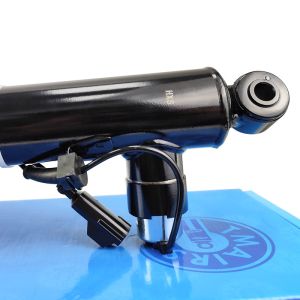 Front Left And Right Air Suspension Shock ASH24591