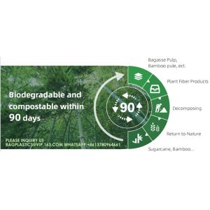 Eco Friendly Bowls 100% Compostable Disposable Biodegradable Sugarcane Bagasse