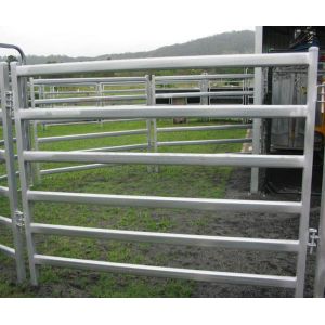Australia standard galvanized cattle panel fence Cattle Crush,Cattle Chute