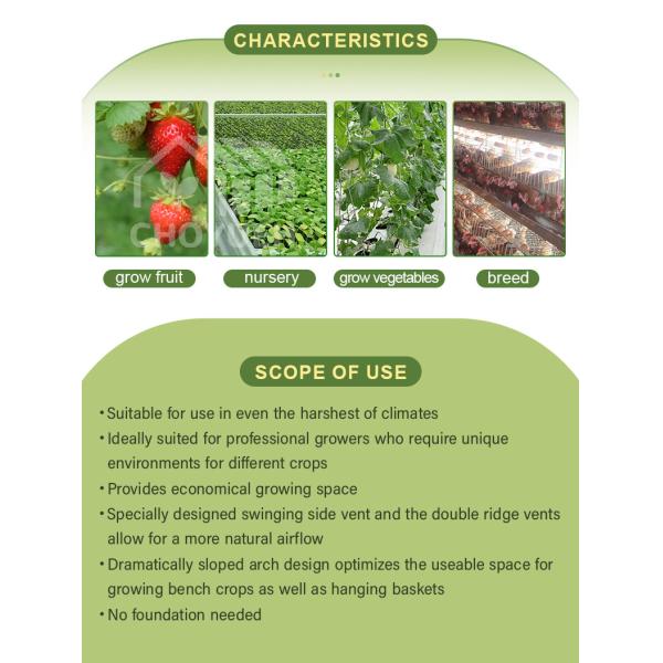 Wind Resistance Multi Span Plastic Film Tunnel Greenhouse With Ventilation System