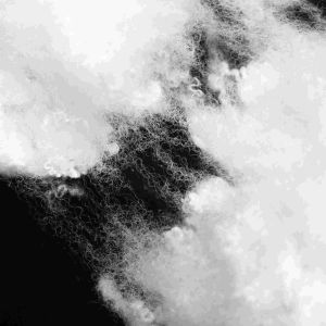 Recycled PET Hollow Polyester Staple Fiber Flame Retardant PSF Polyester