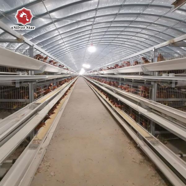 Newest Design Of H Type Layer Chicken Poultry Cage