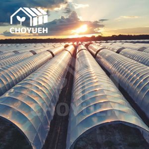 Silver Single Span Separate Stretch Greenhouse OEM ODM