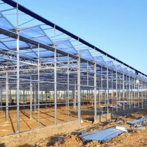 Glass Greenhouse with Hydroponics Growing Customized Request Roofing Shape A