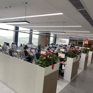 UDEL Chips Tech Co., Ltd.