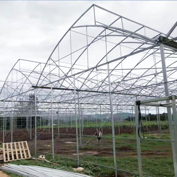 Large Sawtooth Greenhouse Shine Tech Poly Tunnel Tropical Greenhouse With Ventilation