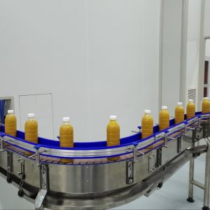 Automatic Pineapple Juice Processing Line Strict QC Multifunctional for