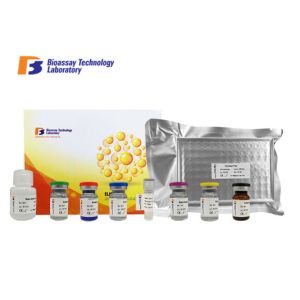 Quality Professional Retinol Binding Protein 4 Human Elisa Kit With Strong Sensitivity for sale