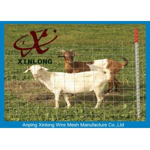 Commercial Galvanized Field Fence For Live Stock Easy Maintenance