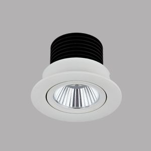 5 Watt 180 Degree Rotatble Citizen Chip Of Led Downlight With Meanwell Driver