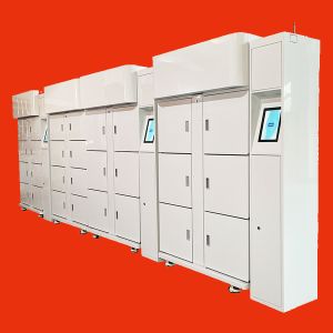 Quality Winnsen Flower Refrigerator Vending Locker System Machine Cooling Food And Beverage Glass Bottle Champagne Milk for sale