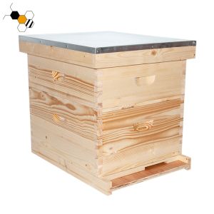 China Wax Coated Two Layers Wooden Langstroth Hive 10 Frame on sale
