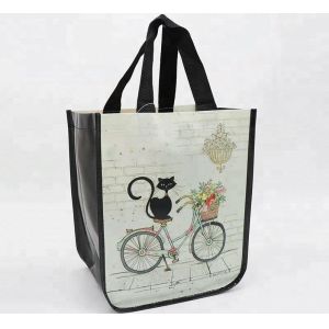 Durable PP Non Woven Bags Silk Screen Printing Foldable With High Bearing Weight