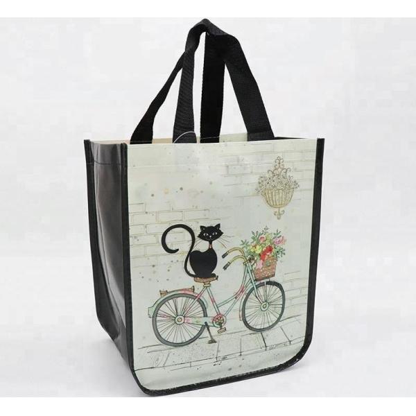 Durable PP Non Woven Bags Silk Screen Printing Foldable With High Bearing Weight