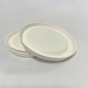 Environmental Disposable Compostable Sugarcane Bagasse Cup Lid For Takeaway Cup