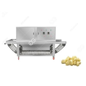 380V CE Certified Commercial Garlic Skin Remover Machine Garlic Peeling Machine
