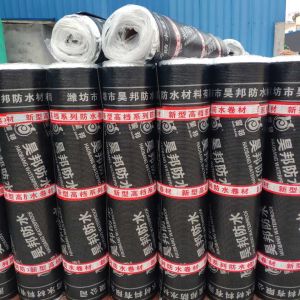 Polymer-Enhanced SBS Bituminous Waterproofing Engineered For Reliable Leakage