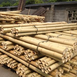 Garden Furniture Natural Bamboo Poles Stakes Straight For Garden Plant Length