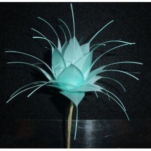 China Goose Feather Flower Mount Shipped Dyed Pattern 5*15 cm on sale