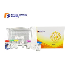 Quality 96 / 48 Wells Human Abcb1 Sandwich Elisa Kit With High Sensitivity / Specificity for sale