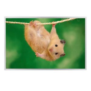 24 Inch CCFL Lcd Module Old LM240WU4-SLB1 Liquid Crystal Display