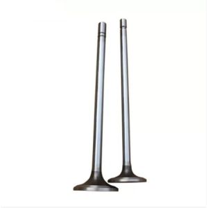TEM 2418383 2418382 Intake Exhaust Valve For C9