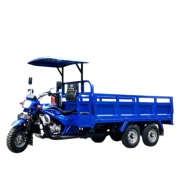 5.00-12/5.00-12 Tyre DAYANG 300cc Double Rear Axle Motorized Tricycle for Heavy Loads