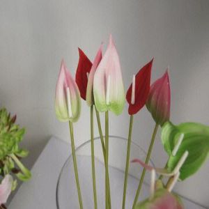 Real Touch PU Small Anthurium, 31cm Total Height