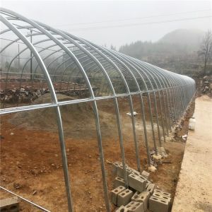 Poly Tunnel Greenhouse Poultry Farm For Sheep Chicken